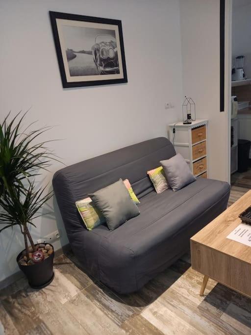 Cosy T2, Meuble De Tourisme 3 Etoiles, Parking Ferme , 2Velos, Wi-Fi 纳博讷 外观 照片